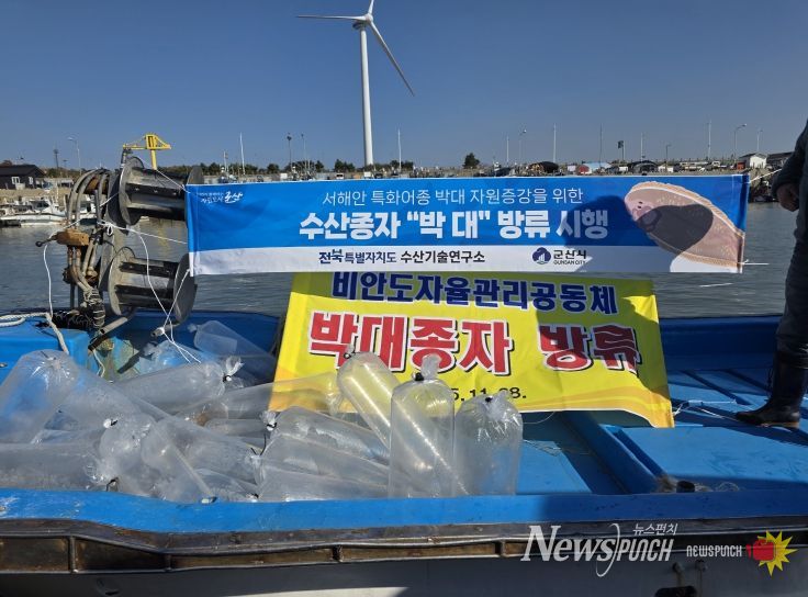 전북자치도, 어린 박대 10만 마리 무상방류