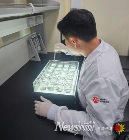 광주광역시 “주요 하천 수생태계 건강하다”