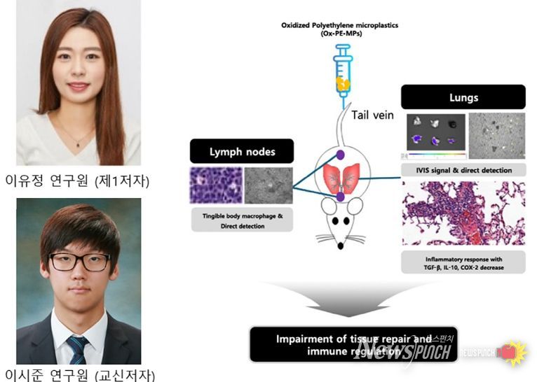 제학술지 게재 및 ‘한빛사’ 선정 겹경사