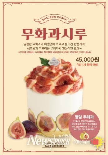 영암군 로코노미 성심당 무화과시루 홍보물