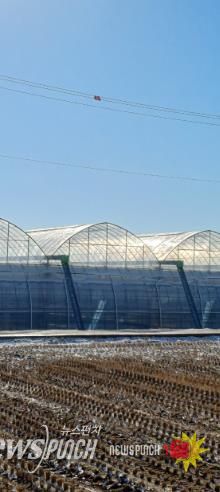 부안 보안면, 농업시설 및 농작물 안전관리 요령 홍보