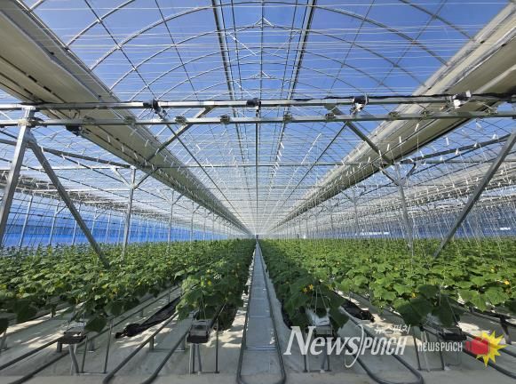 남원시, 2026년도 원예·과수분야 지원사업 신청접수 실시