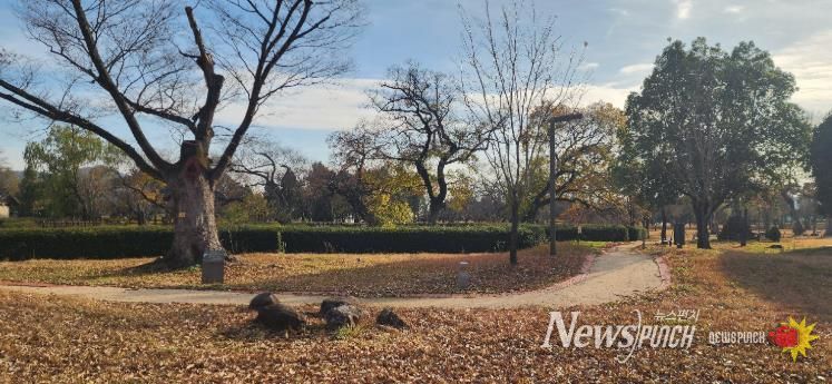 광양시 고즈넉하고 유서 깊은 겨울 여행지, 광양 유당공원