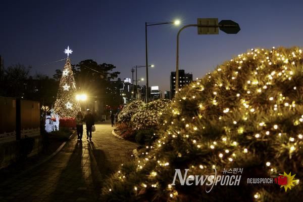 방학사계광장을 밝히고 있는 크리스마스 트리
