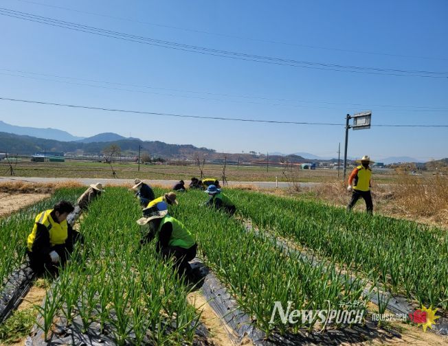 기본형 공익직불금 1만2,928농가에 269억원 지급