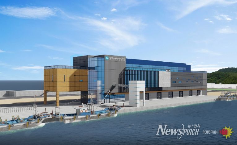 신 강구수협 조감도.