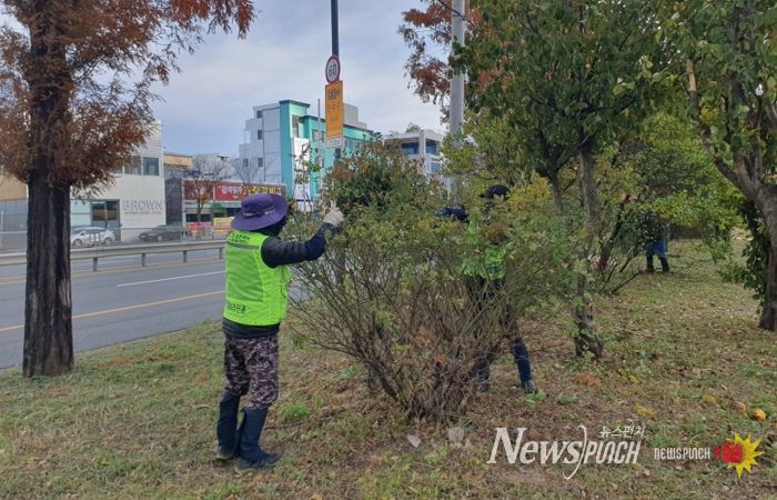 무궁화 전정작업 현장