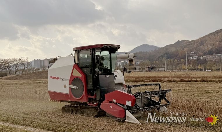 임실군, 논콩 수확 농작업 대행…전량 완료