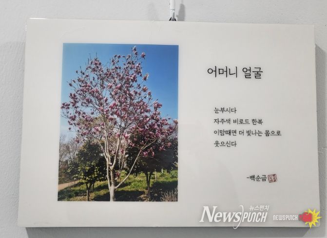 다시봄 갤러리 12월 보훈가족 디카시 작품전