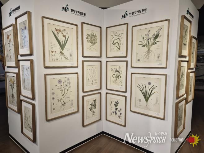 포천시, 한탄강의 아름다운 색채를 담은 압화 전시 개최