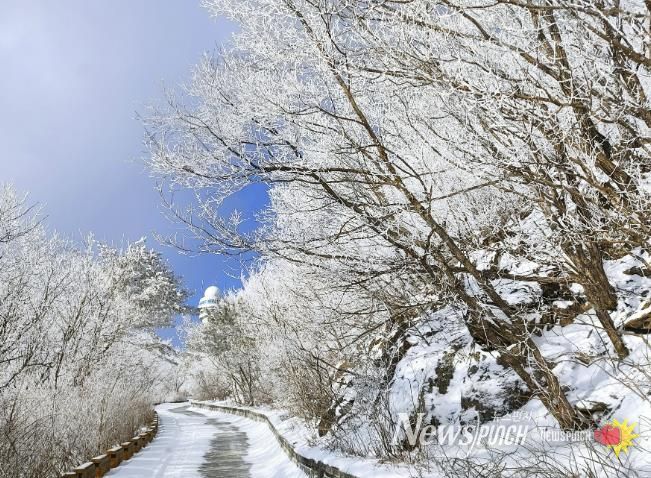 소백산 겨울