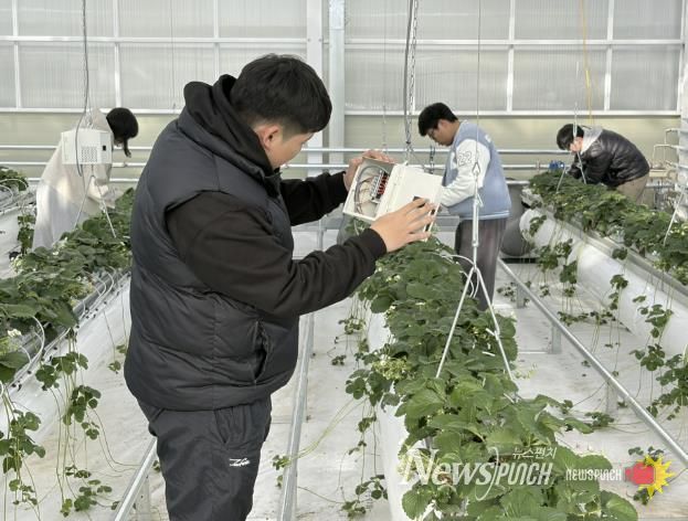 준공된 스마트팜 실습장에서 국립공주대학교 스마트팜공학과 학생들이 실습을 하는 모습