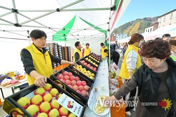 정선군, 농식품부 과수분야 연차평가 강원도 유일 인센티브 확보 정선사과 축제(2025)