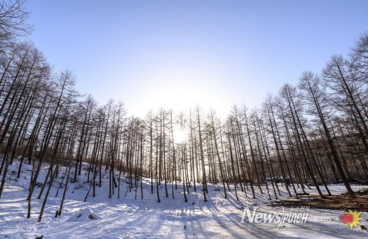 운탄고도 1330 이용 활성화를 위한 기반시설 조성 사업추진