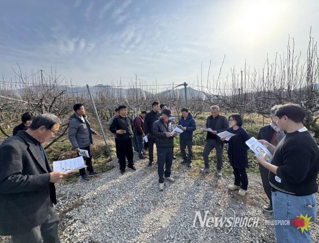 정읍 배 농가, 스마트 방제