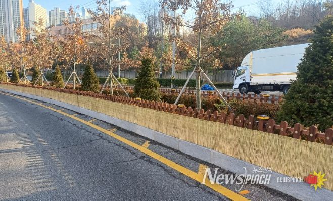 겨울철 강풍·한파 대비 가로녹지 보호 작업