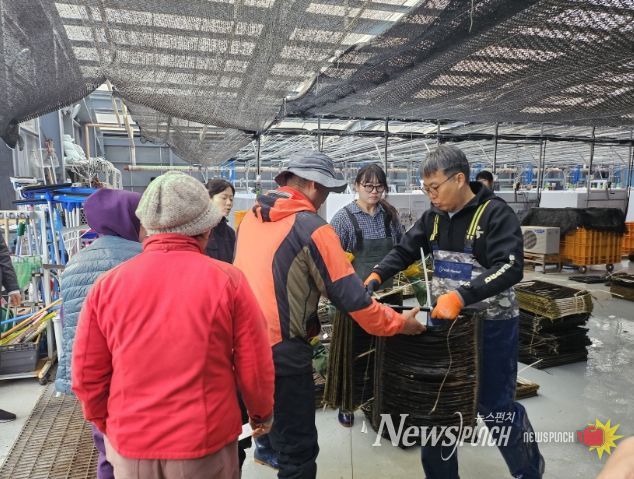 기장군, 해조류 종자생산 연구성과물 어업현장 보급