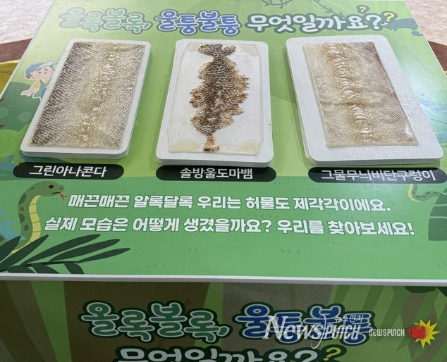 뱀 허물 만지기 체험