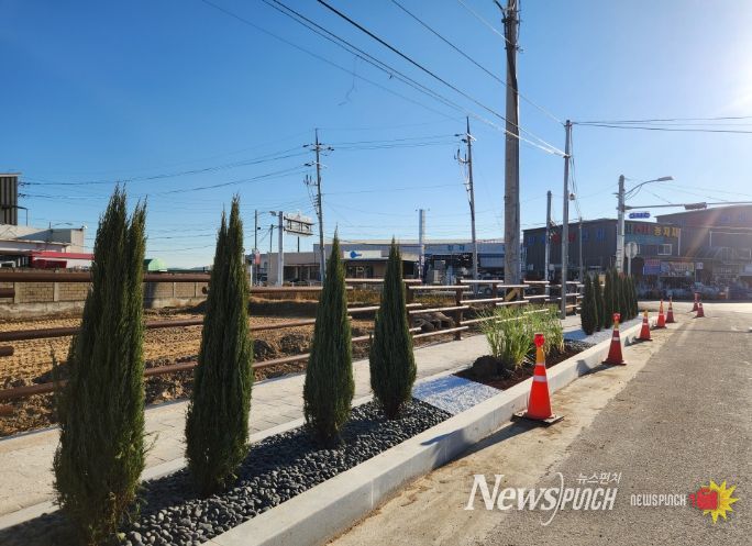 의성군, 안계면 가로수 정비로 거리미관 개선