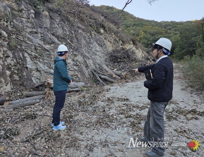 벌채지 점검 모습