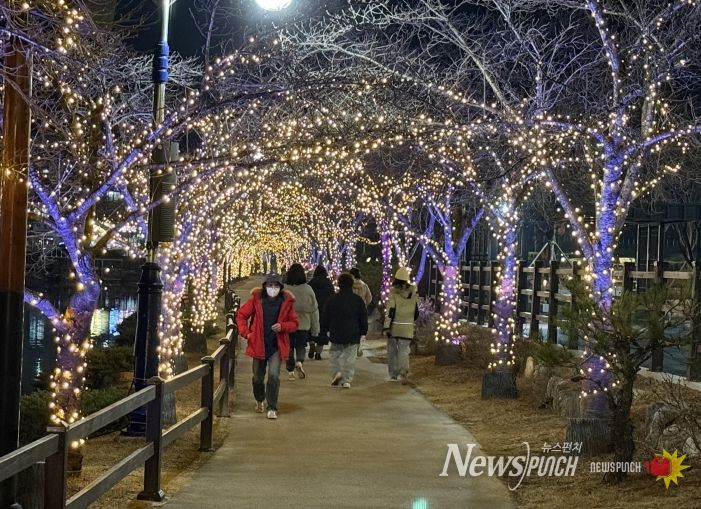 망정우로지공원 경관 조명, 수목보온재 설치 모습