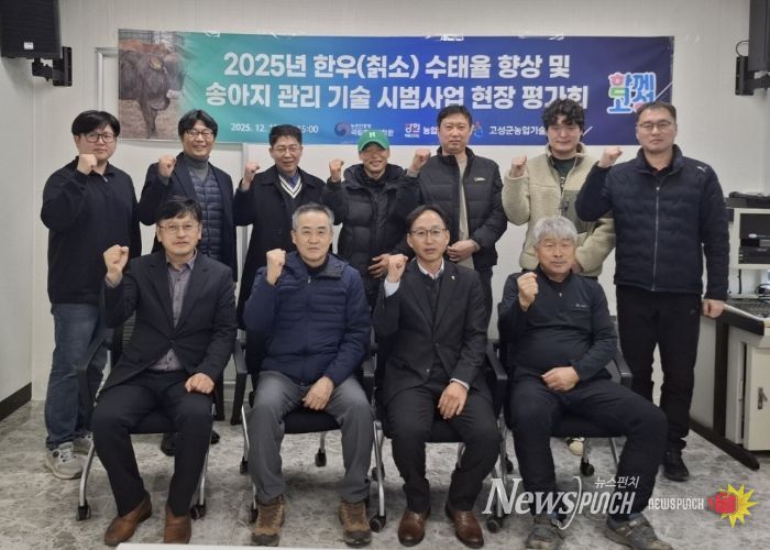 2025년 한우(칡소) 수태율 향상 및 송아지 관리 시범사업 평가회 개최