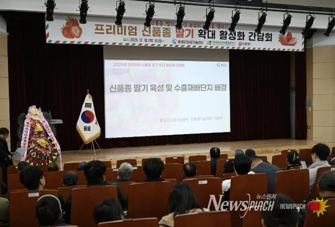 프리미엄 신품종 총집결...홍성, 차세대 딸기산업 날개 달다!