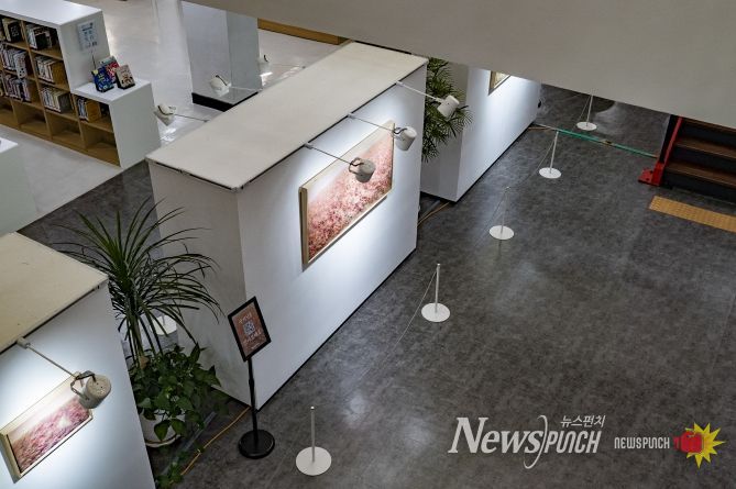 전주시 금암도서관, 작은 전시로 예술과 시민을 잇다!