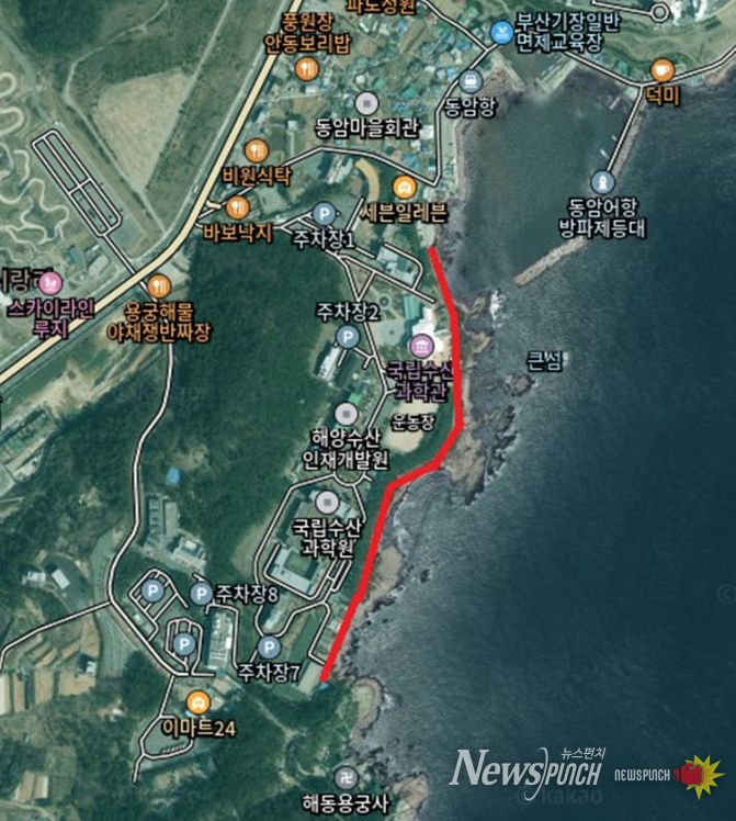 , 새해 해맞이 ‘갈맷길 해안로’ 일부 통제