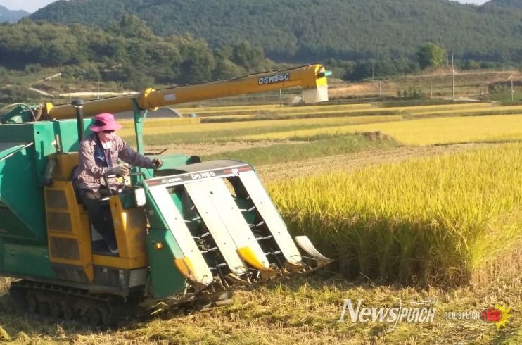 순창군, 친환경 벼 유통 물류비 지원.