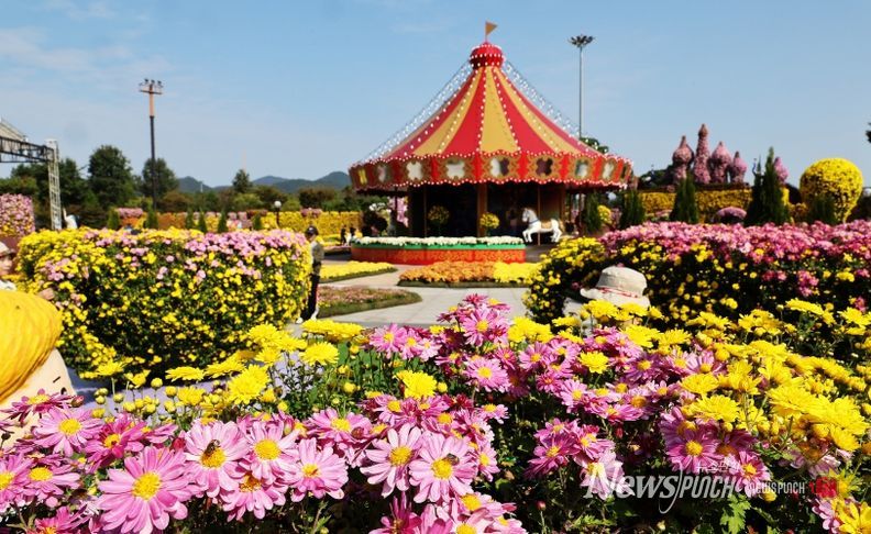 2025년 대한민국 국향대전 축제장 전경