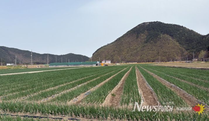 농업기술센터 시범사업