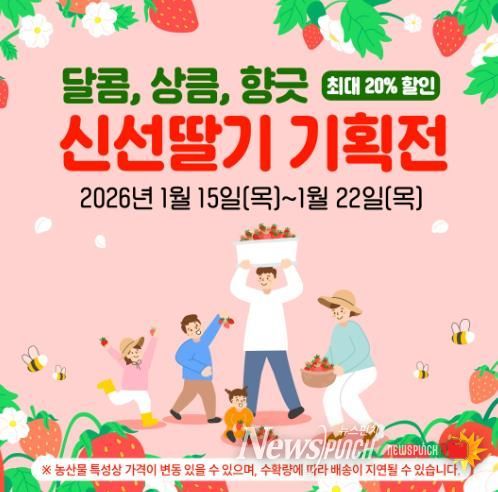 새해를 여는 달콤한 선택, 곡성몰 신선딸기 기획전 진행