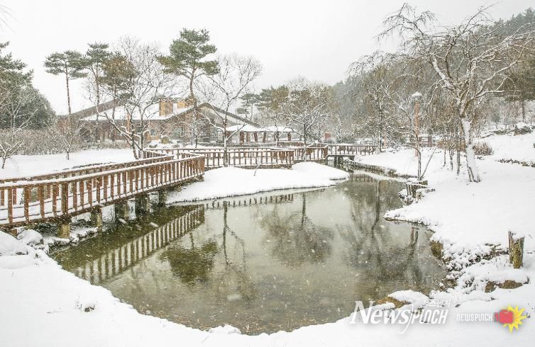 광양시 백운산자연휴양림 겨울 웰니스 관광지로 추천 - 관광과(겨울자연휴양림)