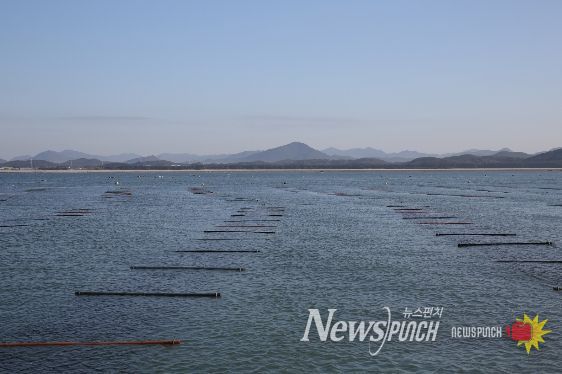 ‘충남 김’ 수출액 역대 최고