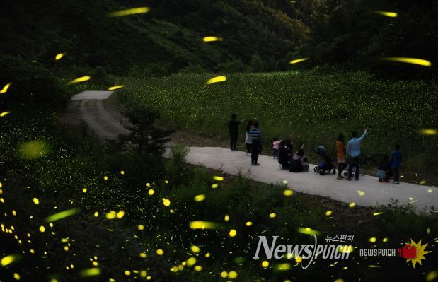 무주군, 2026년 지방소멸대응기금 80억 원 확보 행정안전부 평가 결과, A등급 달성