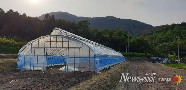 보조사업으로 설치된 비닐하우스