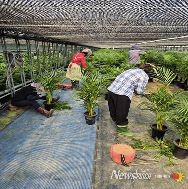 음성군, 농부의 시계보다 앞선 행정....농촌인력 지원 박차