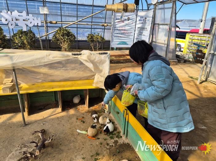 2월 7일 구로구 드림스타트 참여 아동들이 체험농장에서 동물 먹이주기 체험을 하고 있다