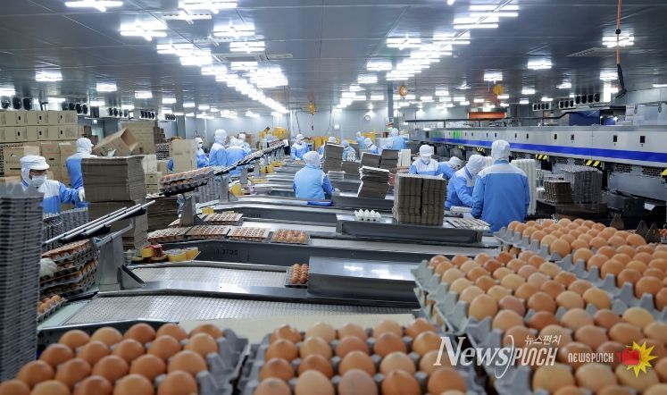 태백시 스마트축산단지, 대형 축산기업 2,000억 원 규모 투자의향서 제출