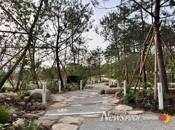 2025년 보라매 서울국제정원박람회에 아시아산림협력기구에서 조성한 정원 ‘The Spring Grove’