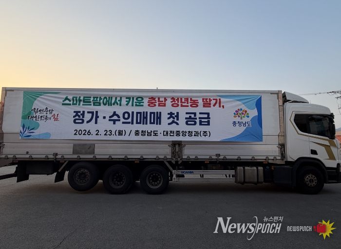 청년농 재배 딸기 1톤 정가·수의 매매 방식 시범 공급