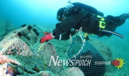 , 임원해역 생태환경 복원‘바다숲 조성사업’추