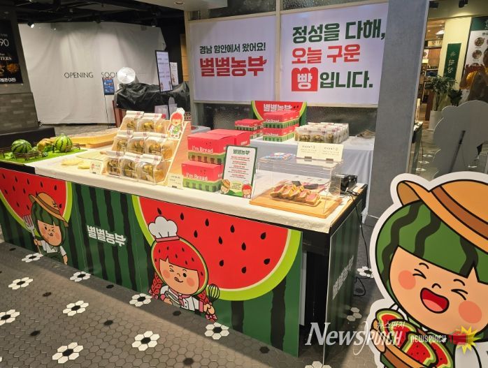 서울 강남 뉴코아아울렛 한시 판매장 운영