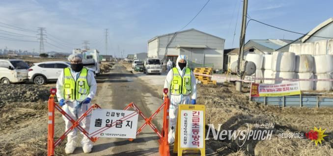 구제역 발생 농가 현장