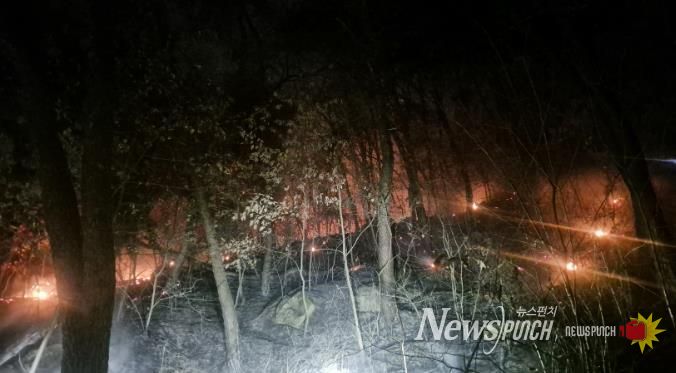 산불 발생 사진