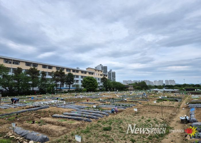 구리시, 「2026년 토평동 구리도시텃밭」운영