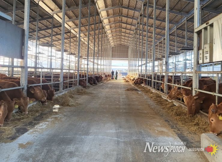 정읍시, 2026년 축산업 허가·등록 농가 2096곳 정기 점검