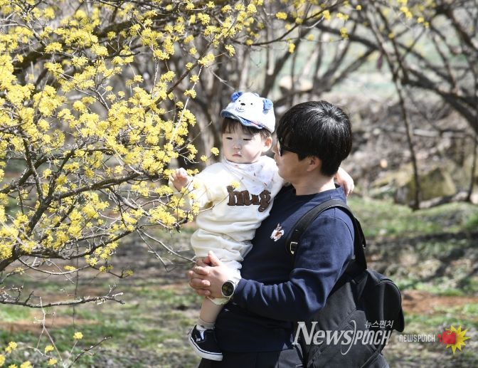 봄이 오면, 남원이 꽃길이 된다