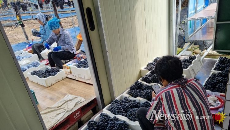 무주군, ‘농가 일자리 지원 서비스’ 추진